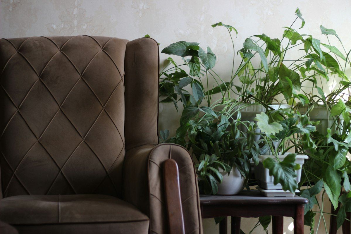 A calm consultation room